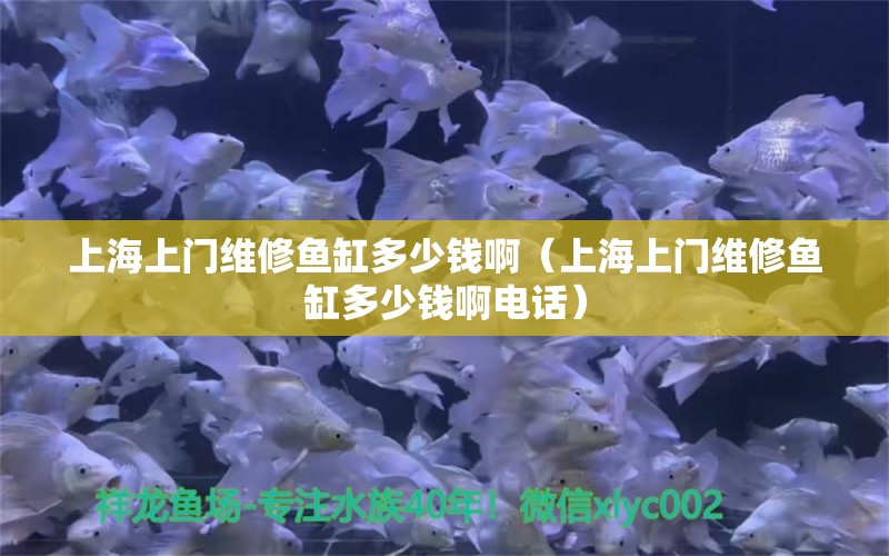 上海上门维修鱼缸多少钱啊（上海上门维修鱼缸多少钱啊电话） 其他品牌鱼缸