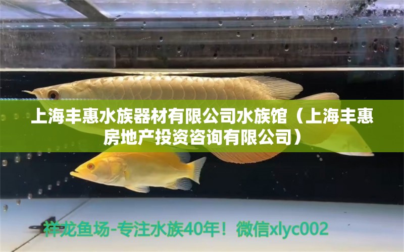 上海丰惠水族器材有限公司水族馆（上海丰惠房地产投资咨询有限公司） 全国水族馆企业名录