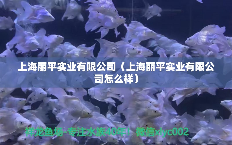 上海丽平实业有限公司（上海丽平实业有限公司怎么样）