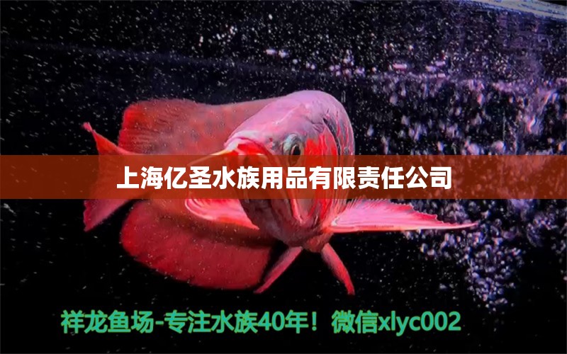 上海亿圣水族用品有限责任公司