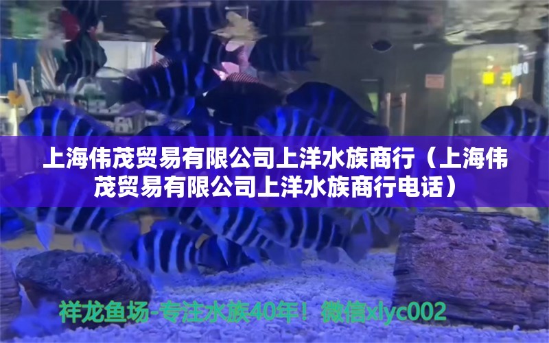 上海伟茂贸易有限公司上洋水族商行（上海伟茂贸易有限公司上洋水族商行电话）