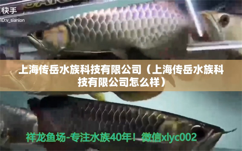 上海传岳水族科技有限公司（上海传岳水族科技有限公司怎么样） 全国水族馆企业名录