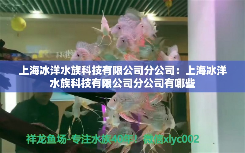 上海冰洋水族科技有限公司分公司：上海冰洋水族科技有限公司分公司有哪些 全国水族馆企业名录