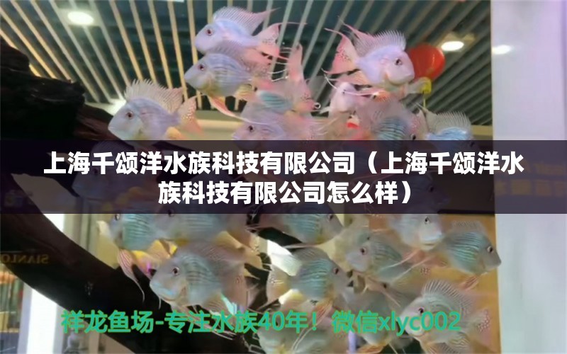 上海千颂洋水族科技有限公司（上海千颂洋水族科技有限公司怎么样） 全国水族馆企业名录