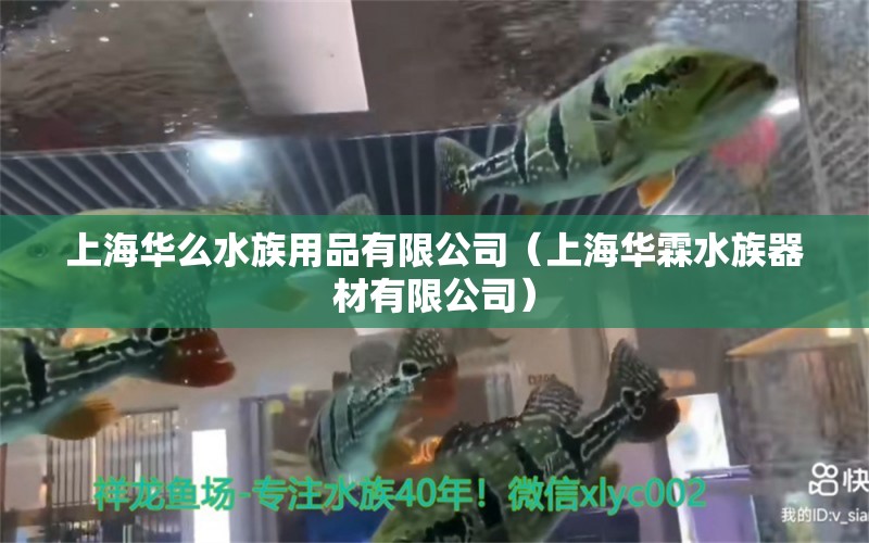 上海华么水族用品有限公司（上海华霖水族器材有限公司）