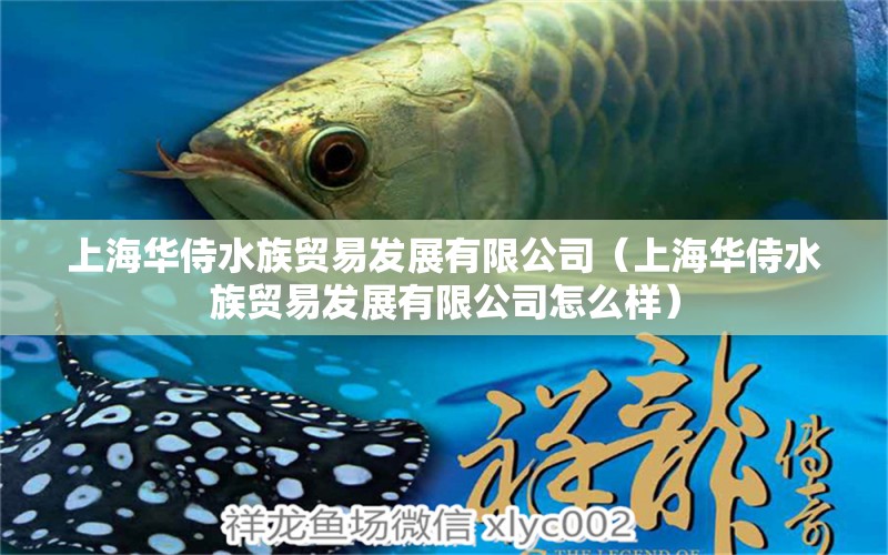 上海华侍水族贸易发展有限公司（上海华侍水族贸易发展有限公司怎么样）