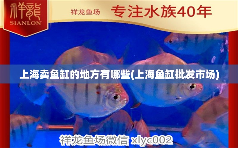 上海卖鱼缸的地方有哪些(上海鱼缸批发市场) 定时器/自控系统