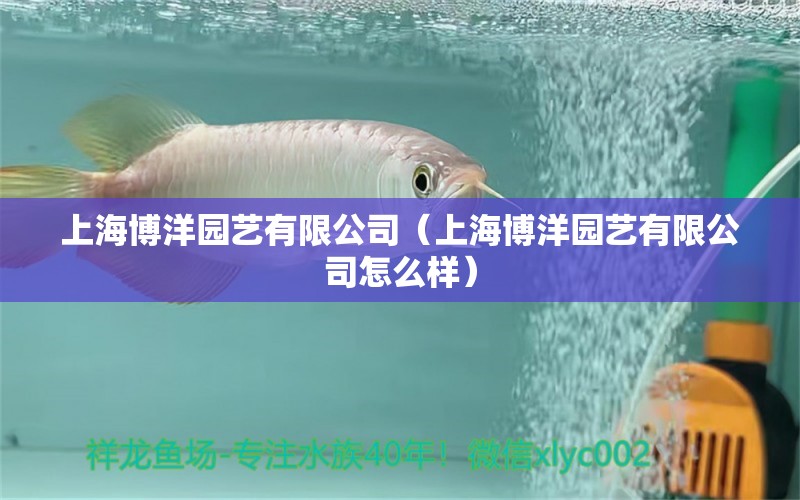 上海博洋园艺有限公司（上海博洋园艺有限公司怎么样）