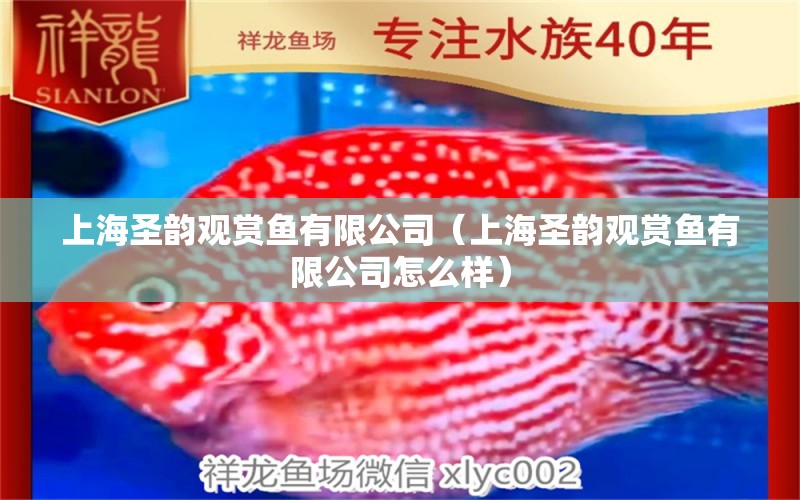 上海圣韵观赏鱼有限公司（上海圣韵观赏鱼有限公司怎么样） 全国水族馆企业名录