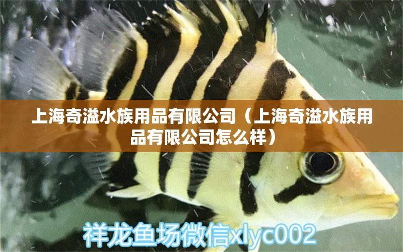 上海奇溢水族用品有限公司（上海奇溢水族用品有限公司怎么样）