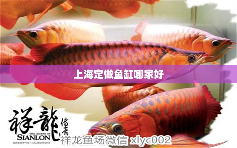 上海定做鱼缸哪家好 其他品牌鱼缸