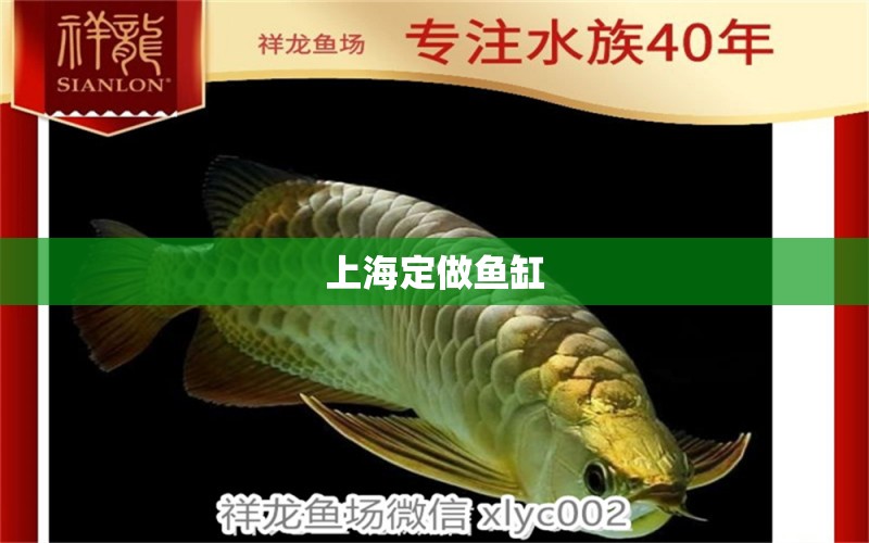 上海定做鱼缸 其他品牌鱼缸