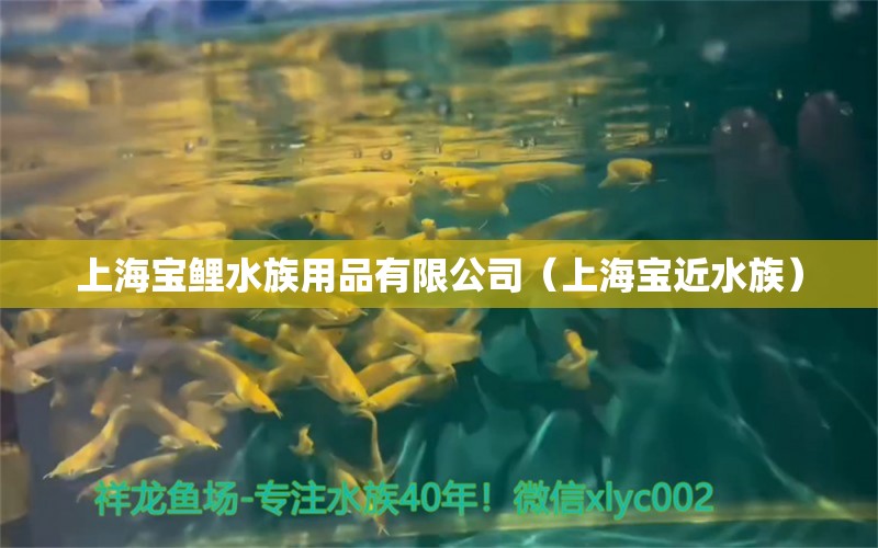 上海宝鲤水族用品有限公司（上海宝近水族）