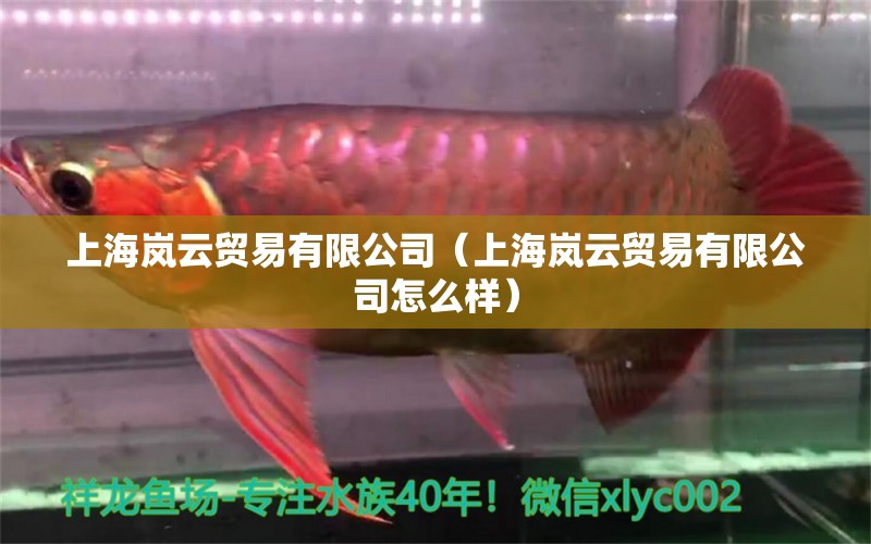 上海岚云贸易有限公司（上海岚云贸易有限公司怎么样） 全国水族馆企业名录