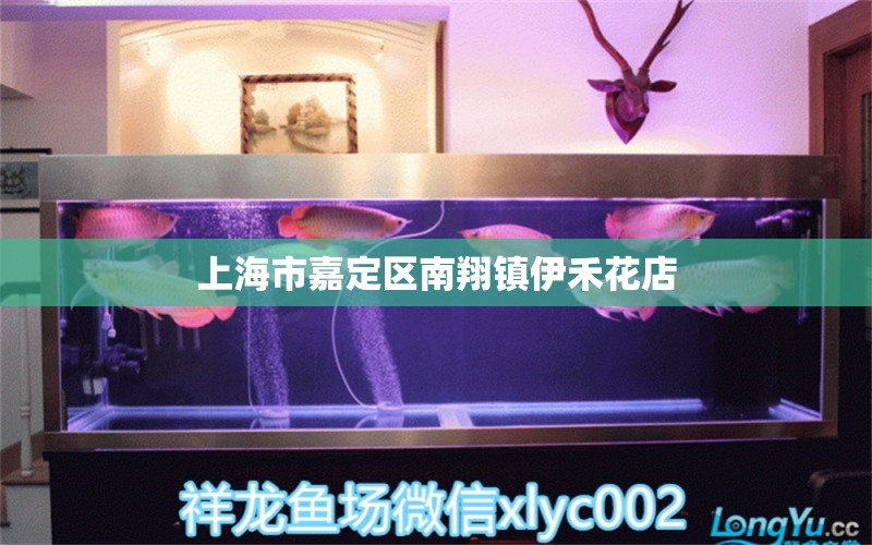 上海市嘉定区南翔镇伊禾花店 全国水族馆企业名录