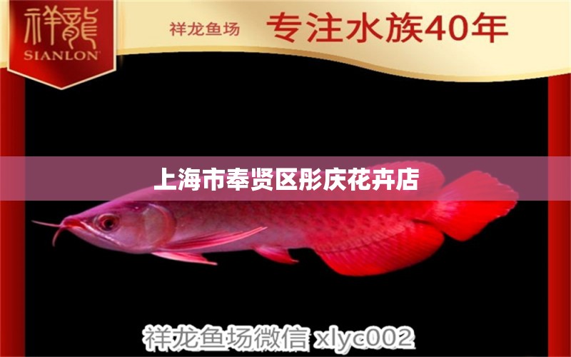 上海市奉贤区彤庆花卉店 全国水族馆企业名录