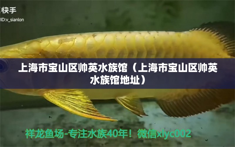 上海市宝山区帅英水族馆（上海市宝山区帅英水族馆地址） 全国水族馆企业名录