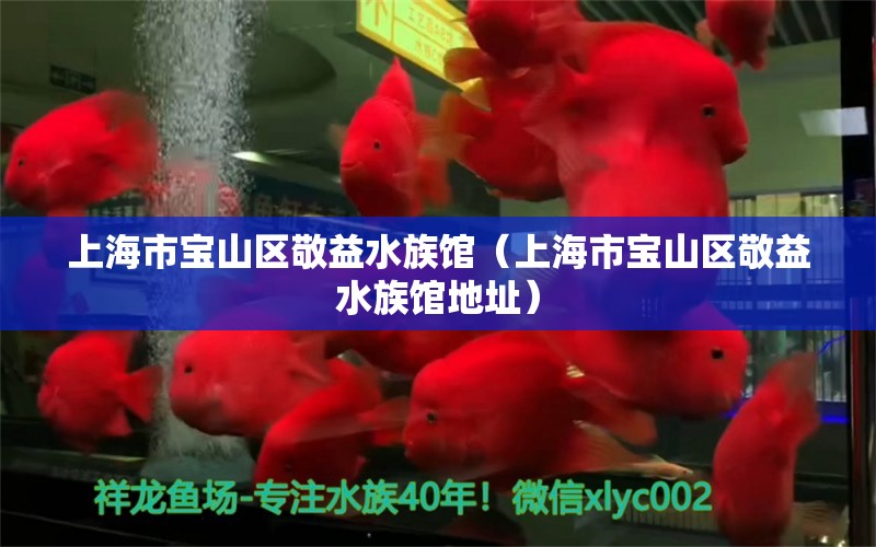 上海市宝山区敬益水族馆（上海市宝山区敬益水族馆地址）