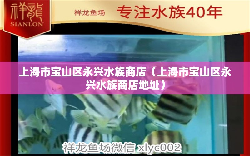 上海市宝山区永兴水族商店（上海市宝山区永兴水族商店地址）