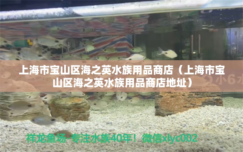 上海市宝山区海之英水族用品商店（上海市宝山区海之英水族用品商店地址）