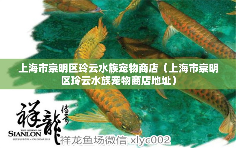 上海市崇明区玲云水族宠物商店（上海市崇明区玲云水族宠物商店地址） 全国水族馆企业名录