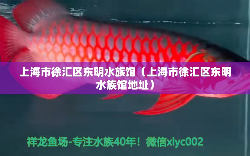 上海市徐汇区东明水族馆（上海市徐汇区东明水族馆地址） 全国水族馆企业名录