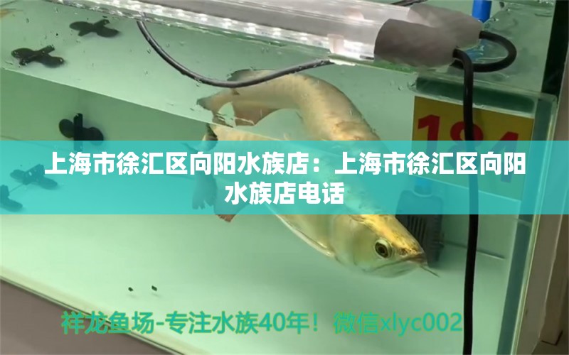 上海市徐汇区向阳水族店：上海市徐汇区向阳水族店电话