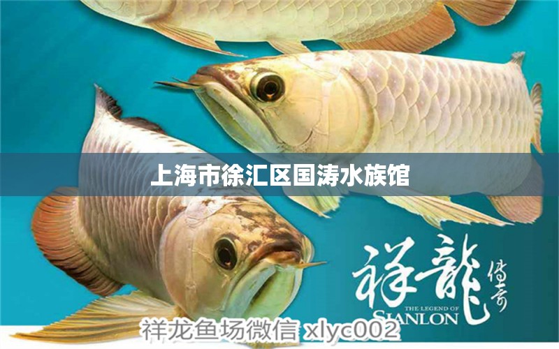 上海市徐汇区国涛水族馆