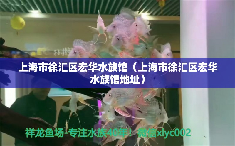 上海市徐汇区宏华水族馆（上海市徐汇区宏华水族馆地址）