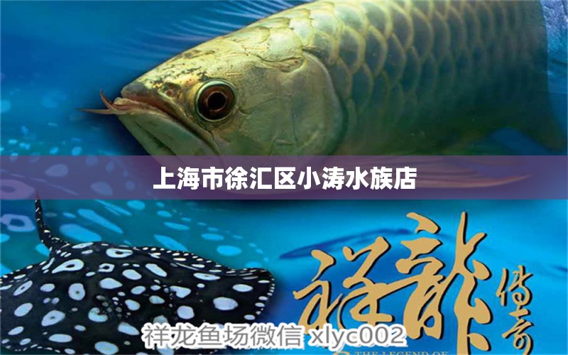 上海市徐汇区小涛水族店