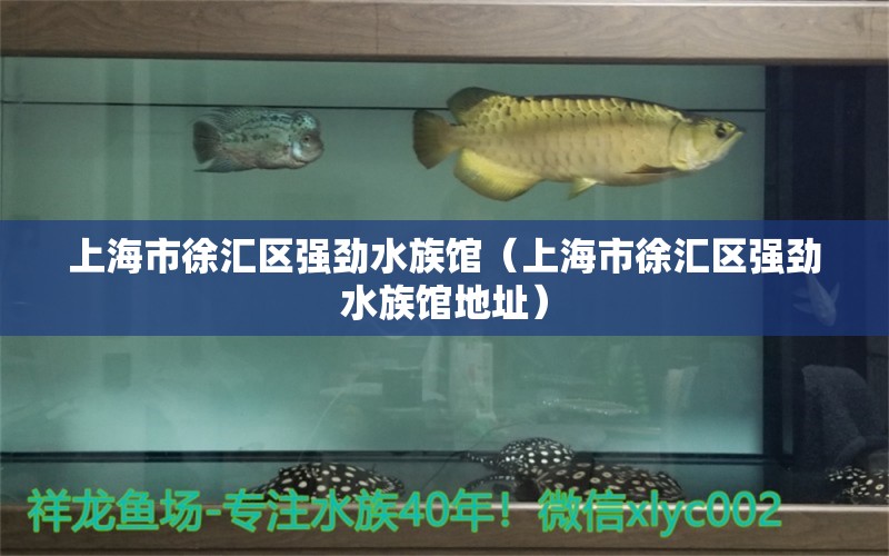 上海市徐汇区强劲水族馆（上海市徐汇区强劲水族馆地址）