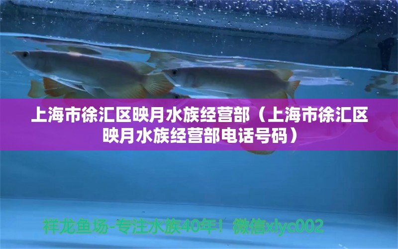 上海市徐汇区映月水族经营部（上海市徐汇区映月水族经营部电话号码）