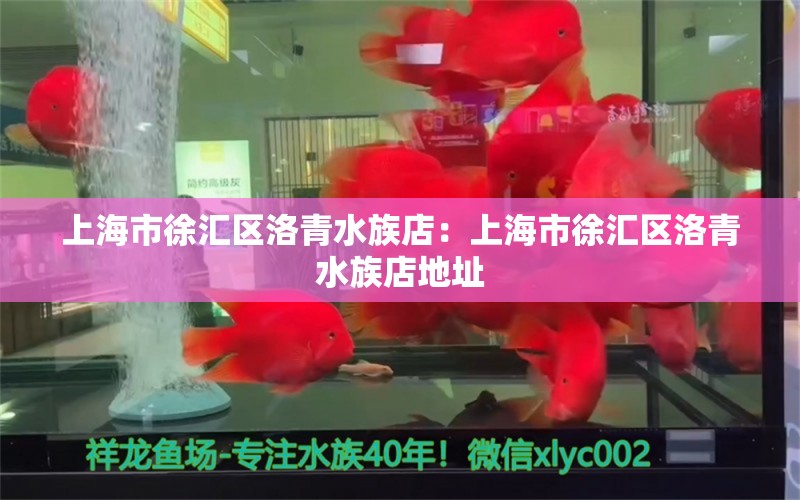 上海市徐汇区洛青水族店：上海市徐汇区洛青水族店地址 全国水族馆企业名录