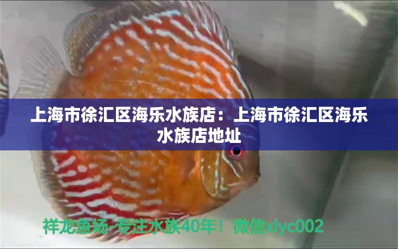 上海市徐汇区海乐水族店：上海市徐汇区海乐水族店地址 全国水族馆企业名录