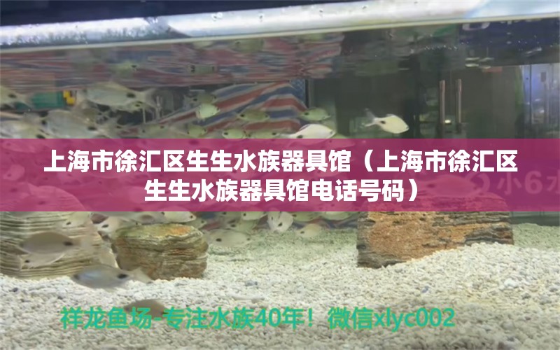 上海市徐汇区生生水族器具馆（上海市徐汇区生生水族器具馆电话号码）