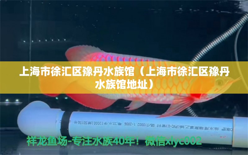 上海市徐汇区豫丹水族馆（上海市徐汇区豫丹水族馆地址）