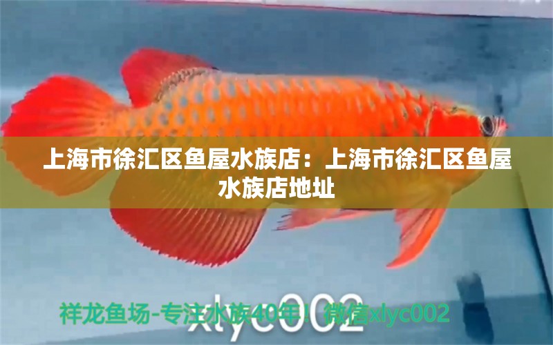 上海市徐汇区鱼屋水族店：上海市徐汇区鱼屋水族店地址