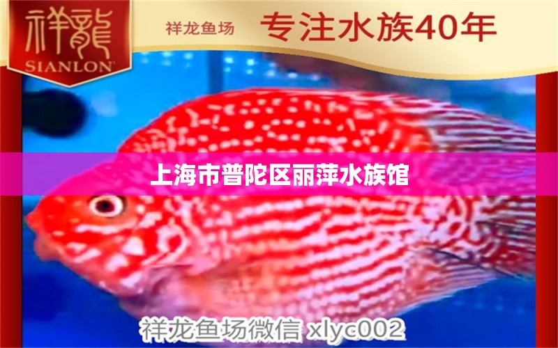 上海市普陀区丽萍水族馆 全国水族馆企业名录