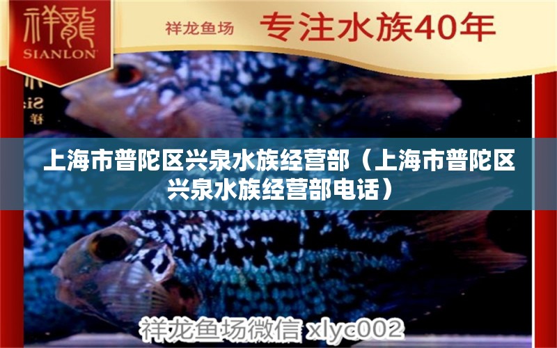 上海市普陀区兴泉水族经营部（上海市普陀区兴泉水族经营部电话）