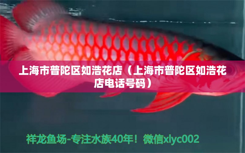 上海市普陀区如浩花店（上海市普陀区如浩花店电话号码） 全国水族馆企业名录