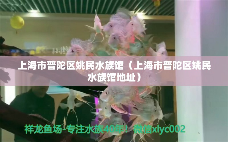 上海市普陀区姚民水族馆（上海市普陀区姚民水族馆地址）