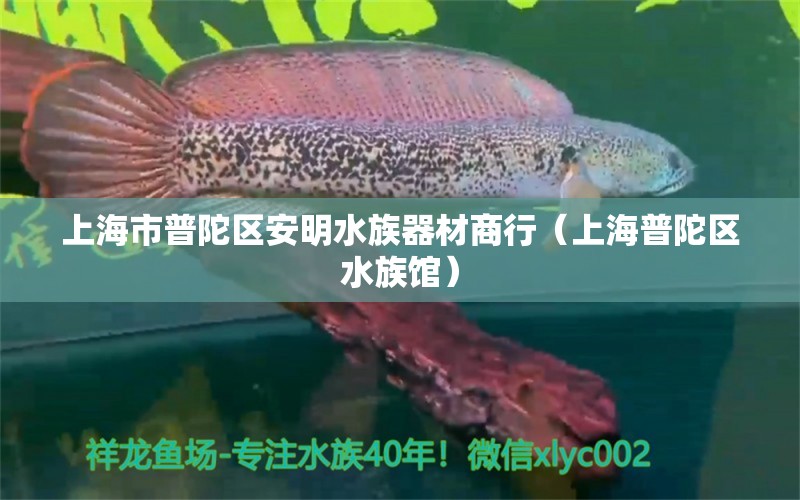 上海市普陀区安明水族器材商行（上海普陀区水族馆）