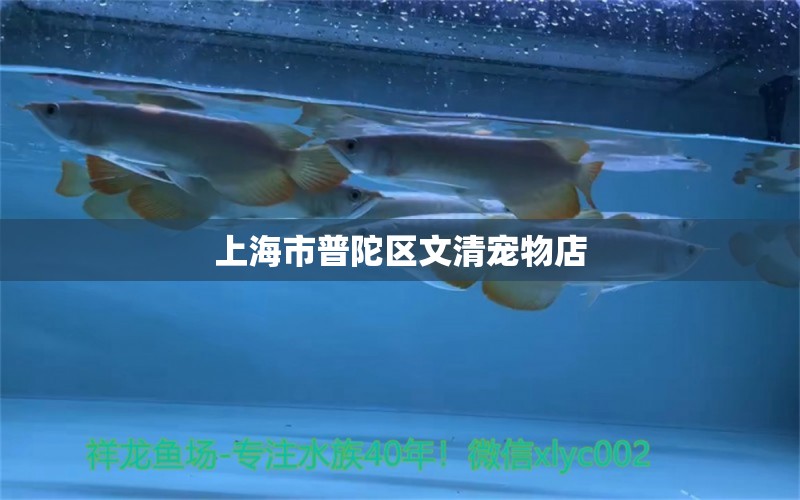 上海市普陀区文清宠物店 全国水族馆企业名录