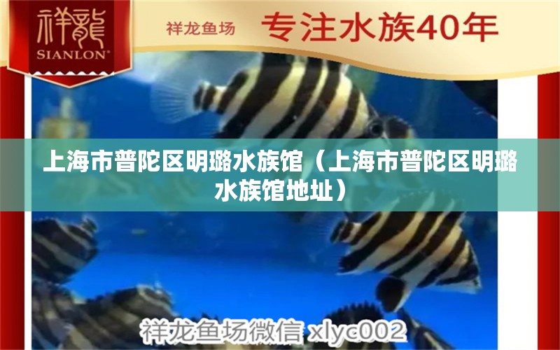 上海市普陀区明璐水族馆（上海市普陀区明璐水族馆地址） 全国水族馆企业名录