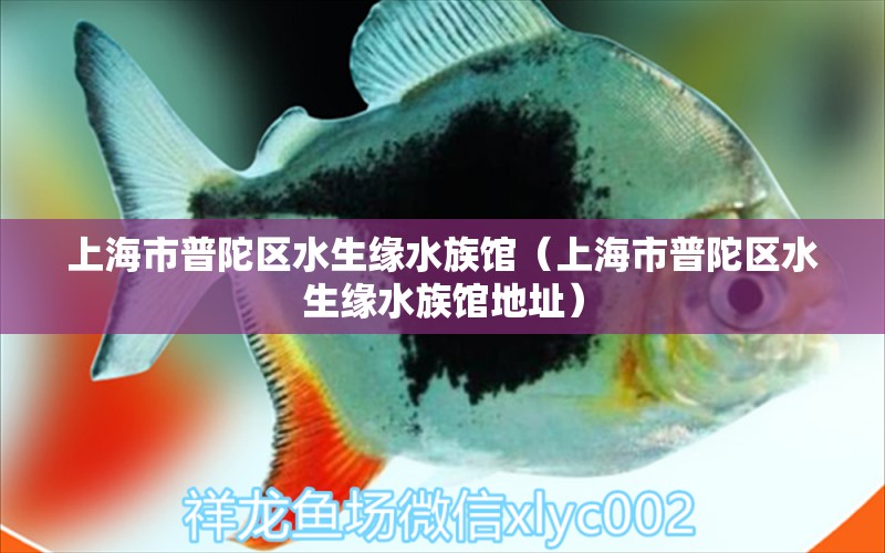 上海市普陀区水生缘水族馆（上海市普陀区水生缘水族馆地址） 全国水族馆企业名录