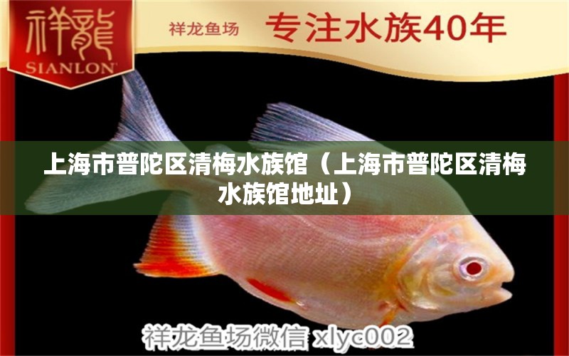 上海市普陀区清梅水族馆（上海市普陀区清梅水族馆地址） 全国水族馆企业名录