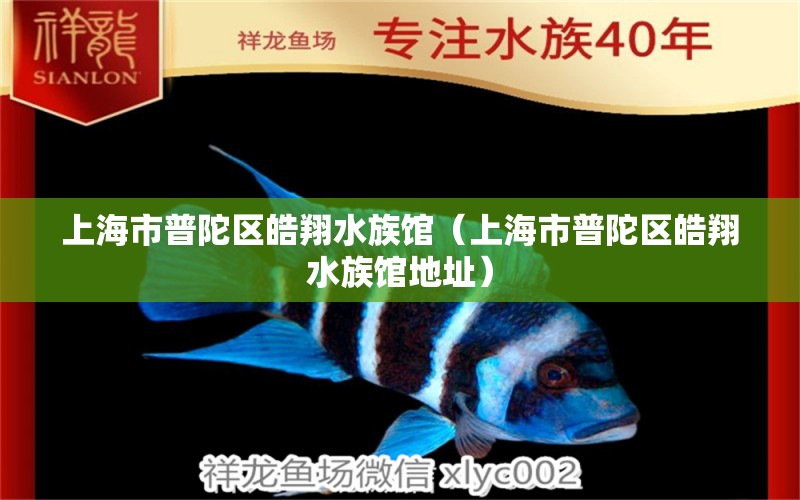 上海市普陀区皓翔水族馆（上海市普陀区皓翔水族馆地址） 全国水族馆企业名录