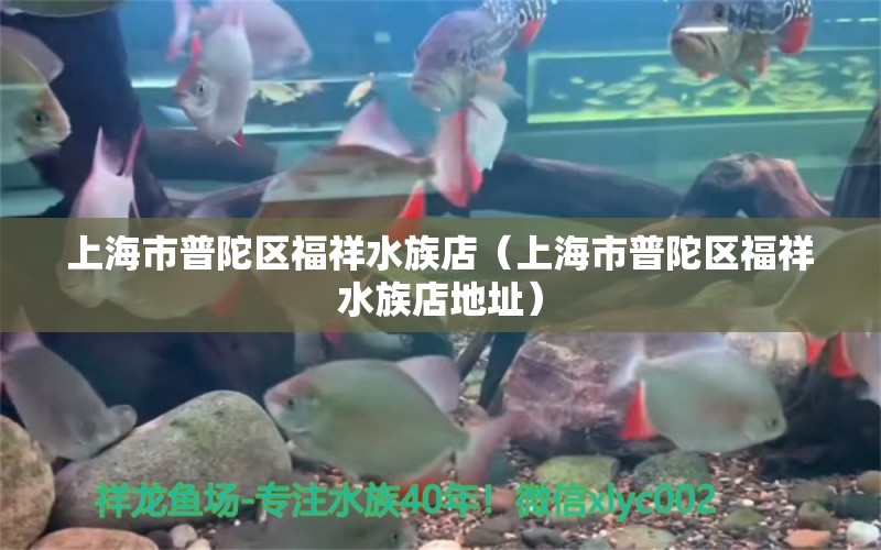 上海市普陀区福祥水族店（上海市普陀区福祥水族店地址）