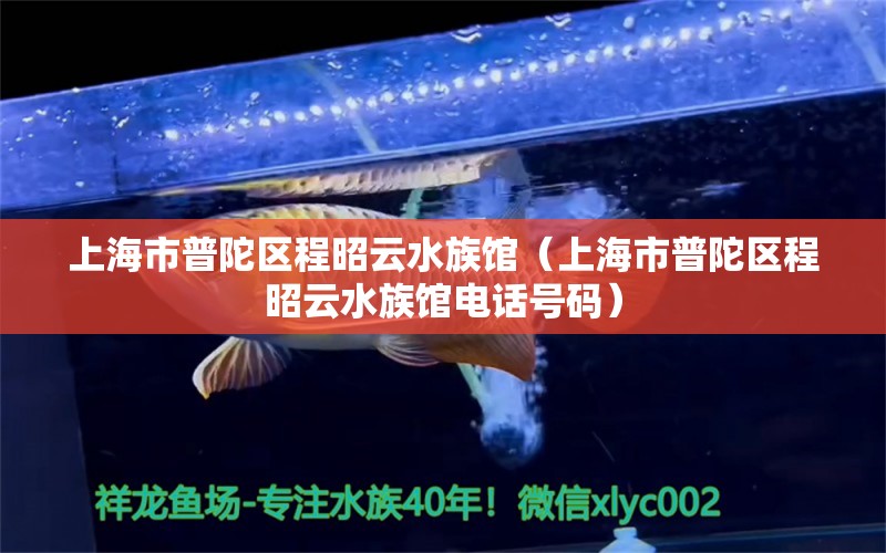 上海市普陀区程昭云水族馆（上海市普陀区程昭云水族馆电话号码）