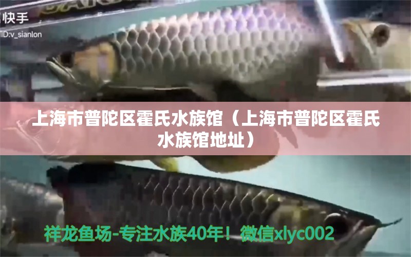 上海市普陀区霍氏水族馆（上海市普陀区霍氏水族馆地址）